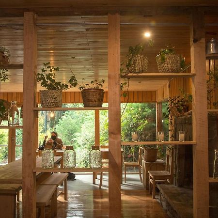 Raices Bed And Breakfast Койяїке Екстер'єр фото