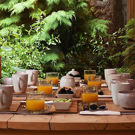Raices Bed And Breakfast Койяїке Екстер'єр фото