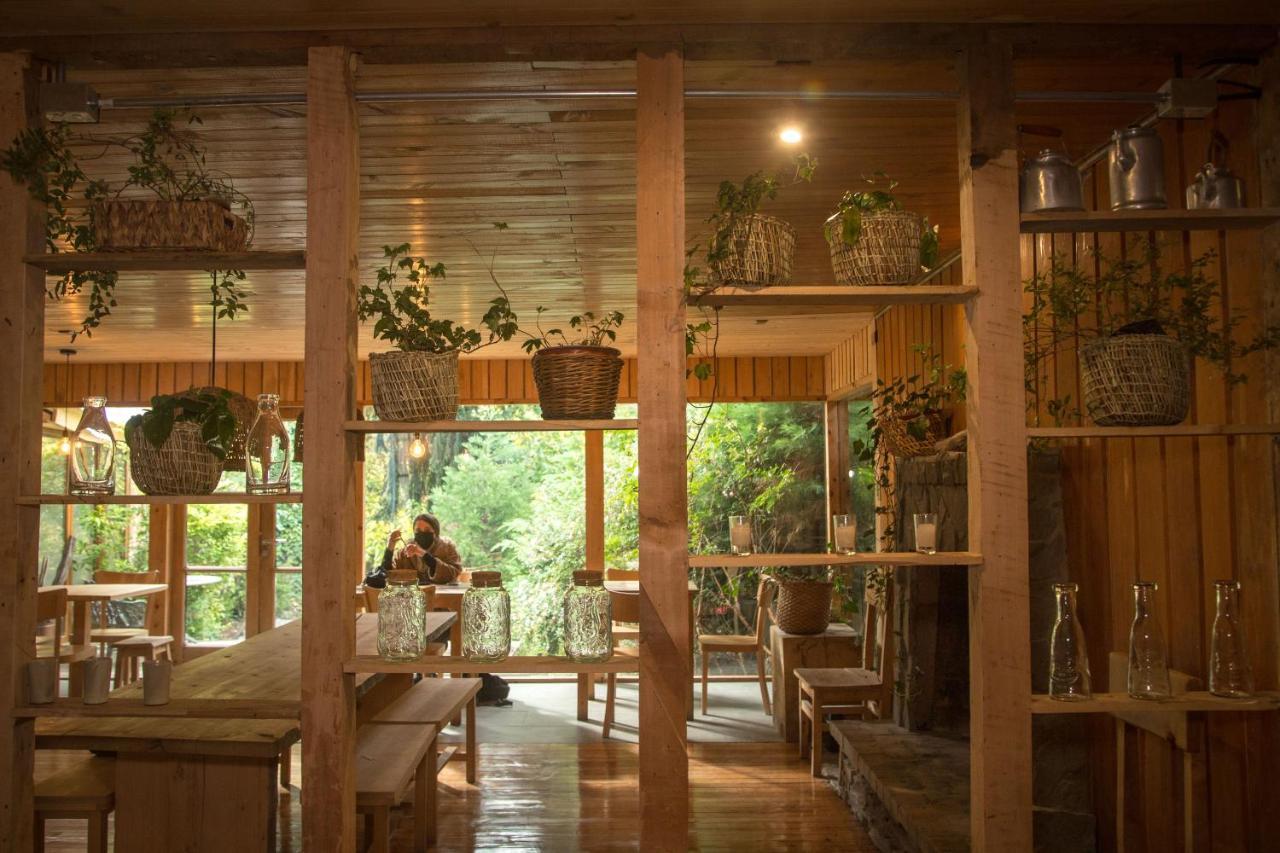 Raices Bed And Breakfast Койяїке Екстер'єр фото