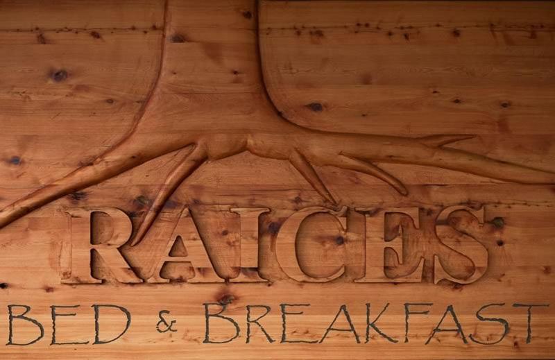 Raices Bed And Breakfast Койяїке Екстер'єр фото