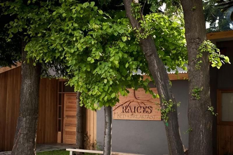 Raices Bed And Breakfast Койяїке Екстер'єр фото